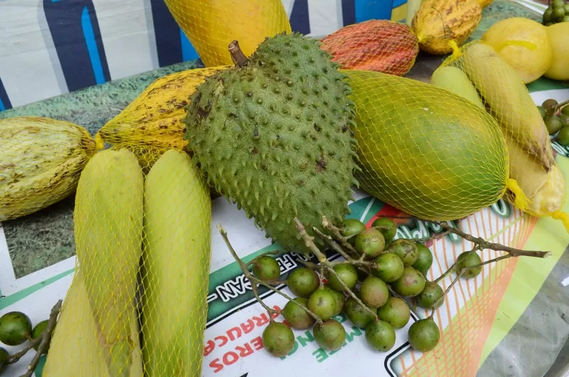 Frutas y verduras de Tame.